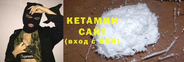 гашик Няндома
