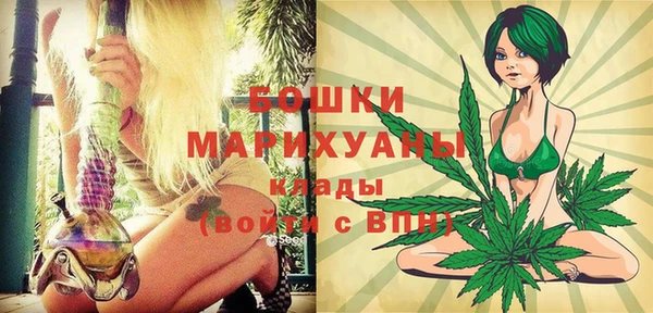 гашик Няндома