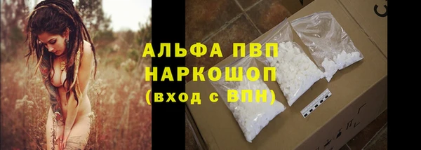 гашик Няндома