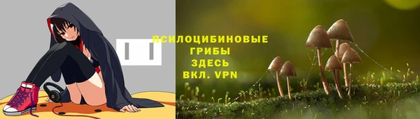 ешки Осташков