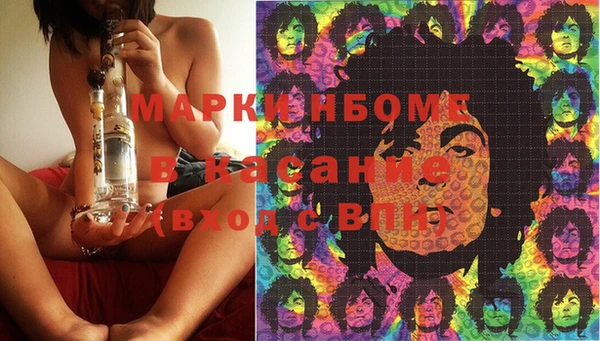 гашик Няндома