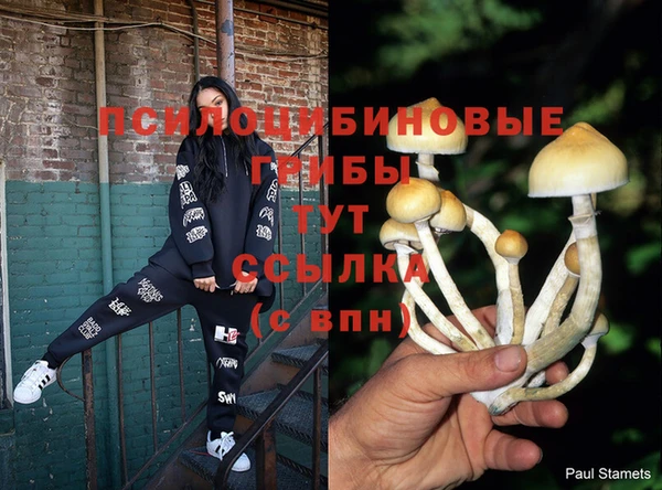герыч Нязепетровск