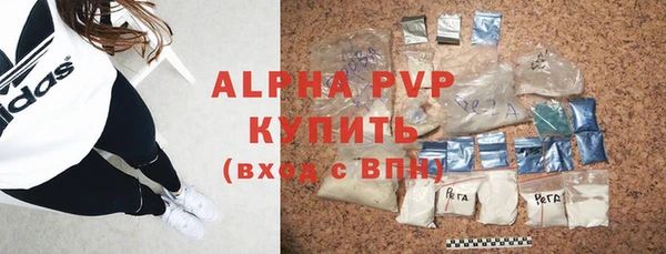 гашик Няндома