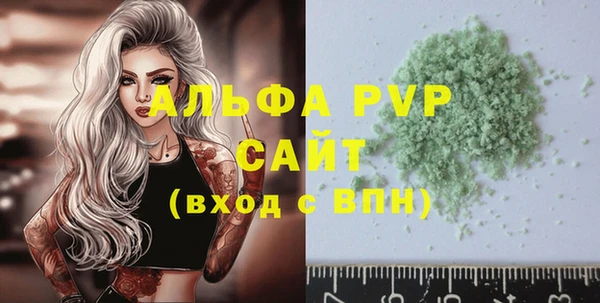 гашик Няндома