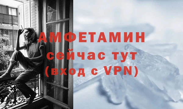 гашик Няндома