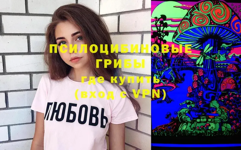 Галлюциногенные грибы Cubensis  mega   Куртамыш 