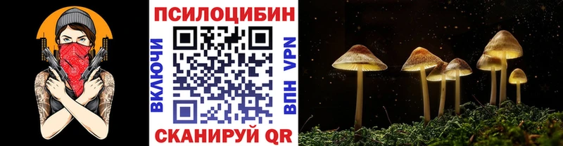 наркошоп  Куртамыш  Псилоцибиновые грибы Magic Shrooms 