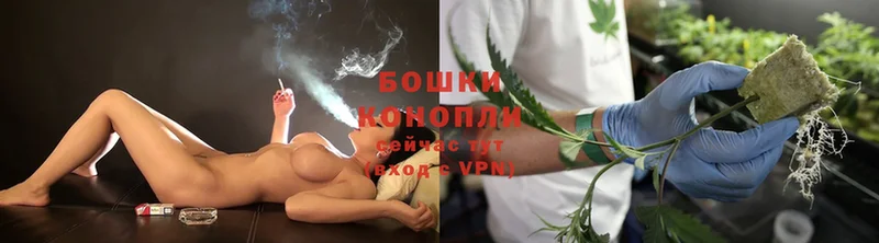 где купить наркотик  Куртамыш  МАРИХУАНА SATIVA & INDICA 